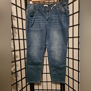 Bleu Women's Blue Skinny Jeans Size 22